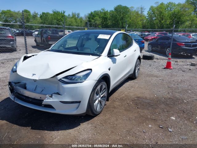 2022 TESLA MODEL Y 7SAYGDEE9NF439994 Photo 1