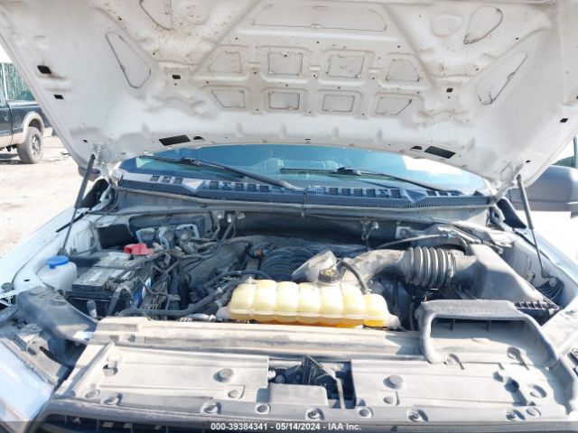 1FTEW1E5XKKC91841 Ford F-150 Xl