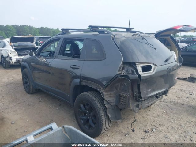 1C4PJMBS8GW317985 Jeep Cherokee Trailhawk