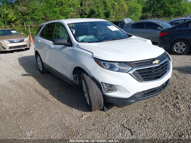 Chevrolet EQUINOX LS 2019 2GNAXHEVXK6164201 Image 1