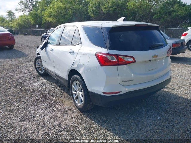 Chevrolet EQUINOX LS 2019 2GNAXHEVXK6164201 Image 3
