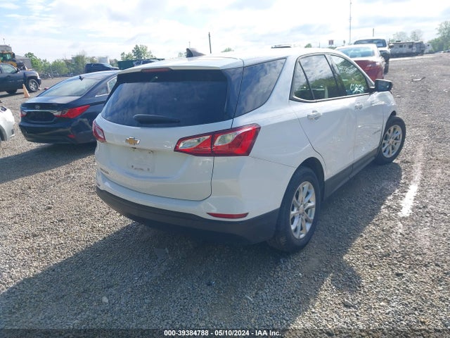 Chevrolet EQUINOX LS 2019 2GNAXHEVXK6164201 Image 4