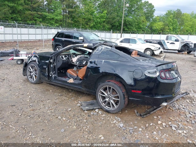 Ford Mustang Gt Premium 2014 1ZVBP8CF9E5308665 Image 3