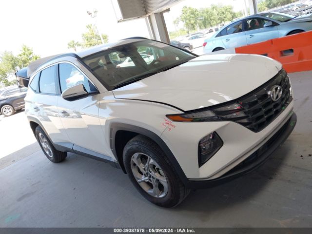 5NMJBCAE4PH242519 Hyundai TUCSON SEL
