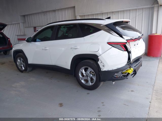 5NMJBCAE4PH242519 Hyundai TUCSON SEL