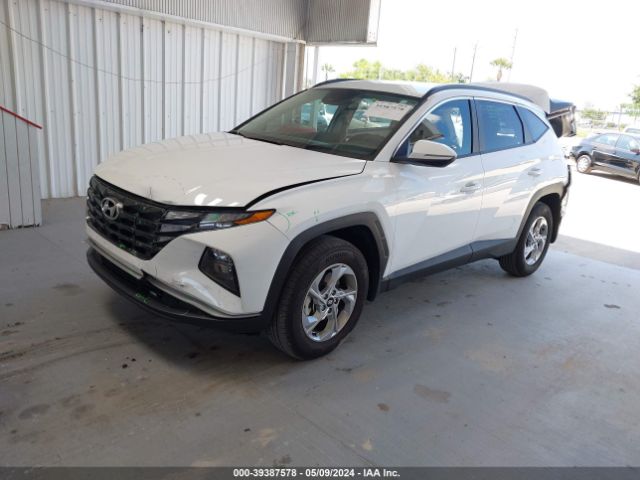 5NMJBCAE4PH242519 Hyundai TUCSON SEL