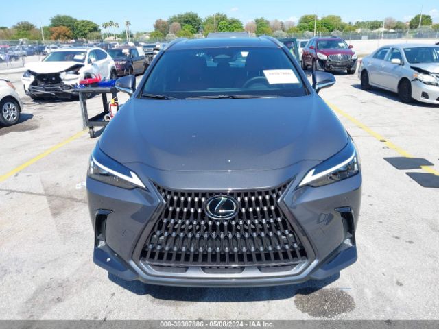 2T2GDCAZ8RC010324 Lexus Nx 250 Premium