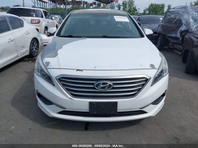 5NPE24AF3HH500517 Hyundai SONATA SE