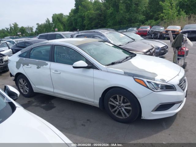 5NPE24AF3HH500517 Hyundai SONATA SE