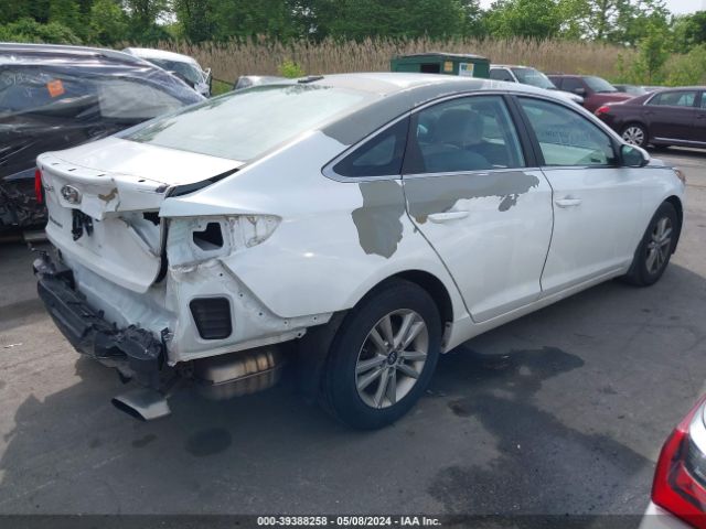 5NPE24AF3HH500517 Hyundai SONATA SE