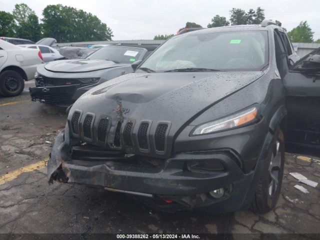1C4PJMBS9HW568645 Jeep Cherokee Trailhawk L Plus 4x4