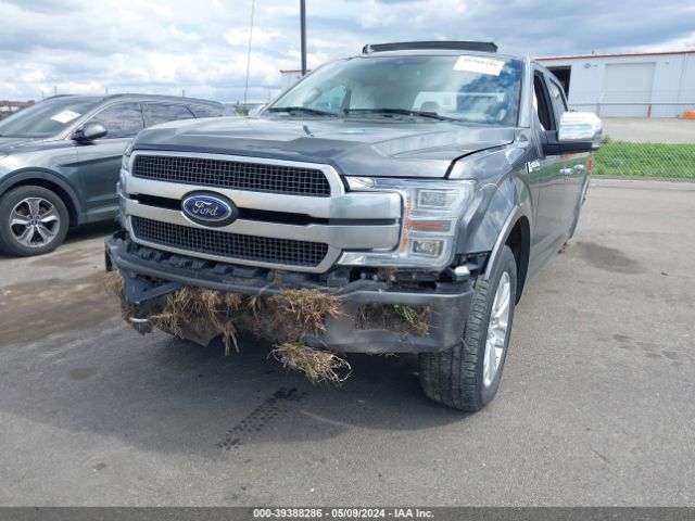 1FTEW1E44KFD53895 Ford F-150 Platinum