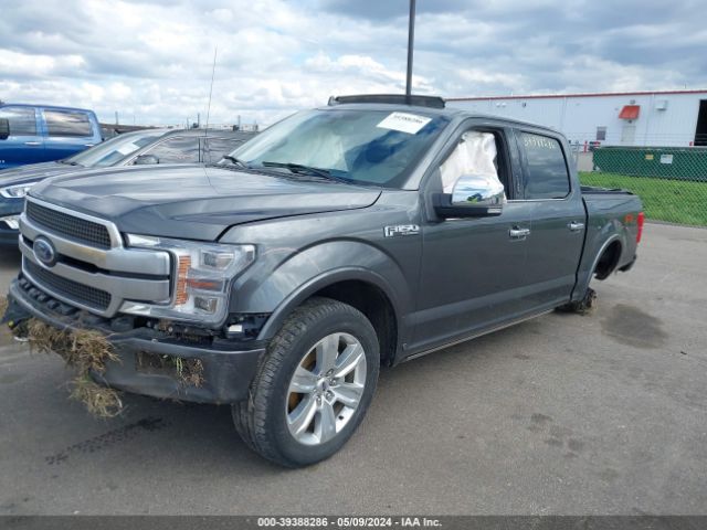 1FTEW1E44KFD53895 Ford F-150 Platinum