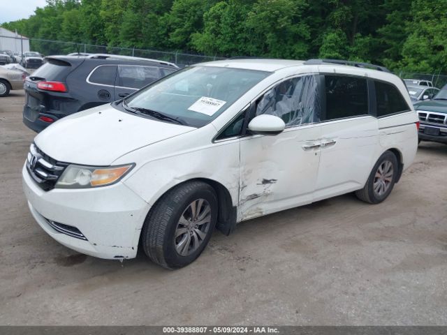 5FNRL5H41EB020754 Honda ODYSSEY EX