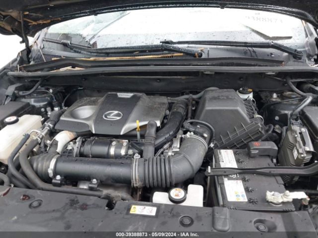 JTJDARDZ3L2235252 Lexus NX 300