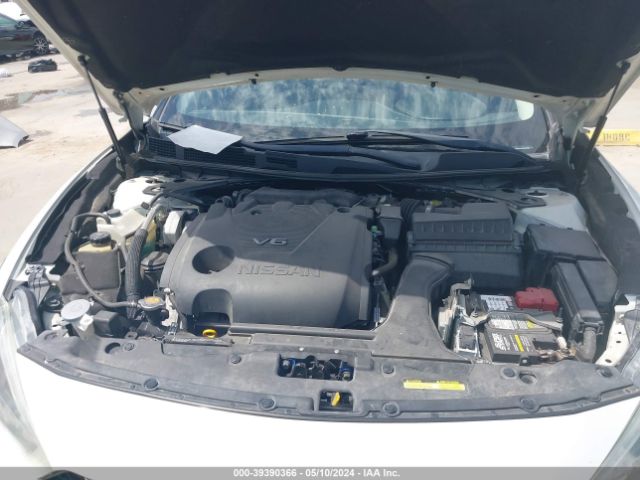 1N4AA6AP0HC435343 Nissan Maxima 3.5 Platinum