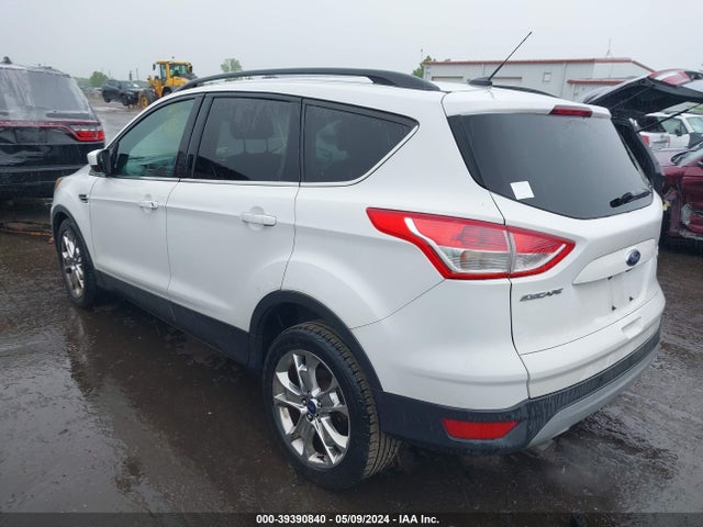 Ford ESCAPE SE 2014 1FMCU9G93EUD36148 Image 3
