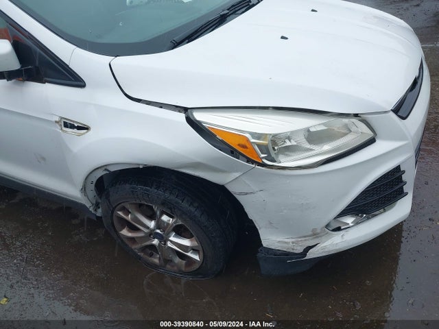 Ford ESCAPE SE 2014 1FMCU9G93EUD36148 Image 6