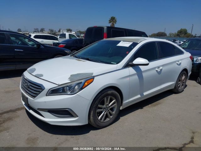5NPE24AF5HH508733 Hyundai SONATA SE