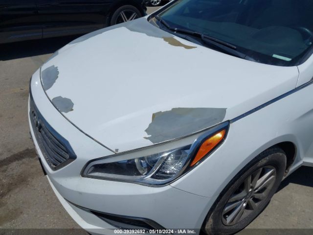 5NPE24AF5HH508733 Hyundai SONATA SE