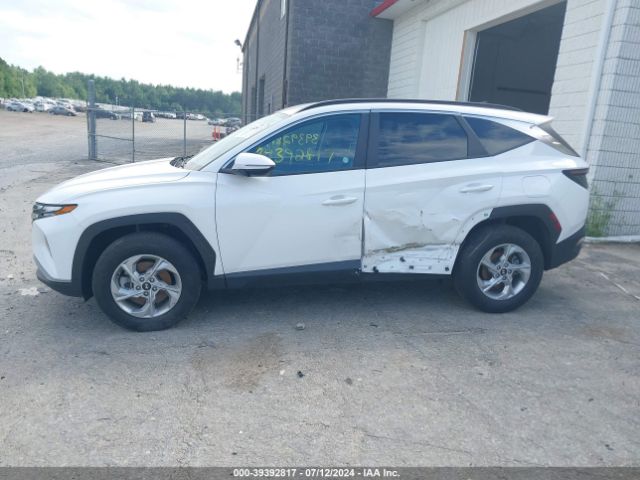 5NMJBCAE9PH194788 Hyundai TUCSON SEL