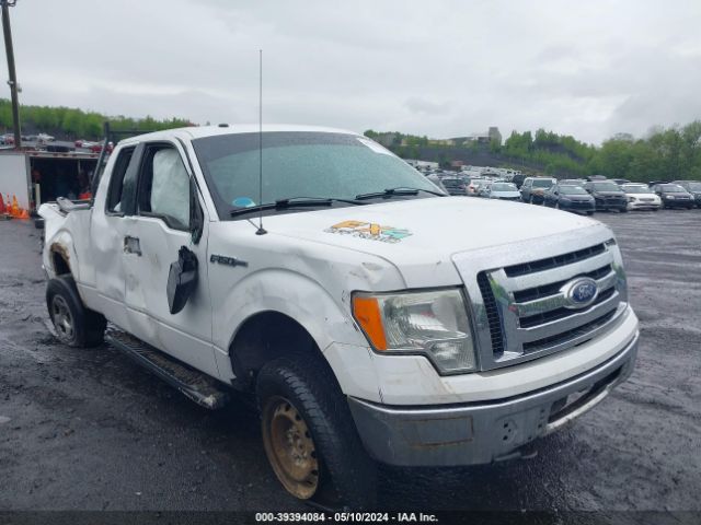 Auction sale of the 2010 Ford F-150 Xlt, vin: 1FTEX1E86AFB52479, lot number: 39394084