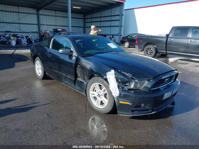 2014 1ZVBP8AM5E5228183 main image
