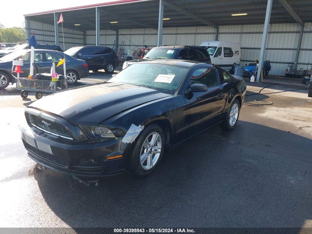 Ford Mustang V6 2014 1ZVBP8AM5E5228183 Image 2
