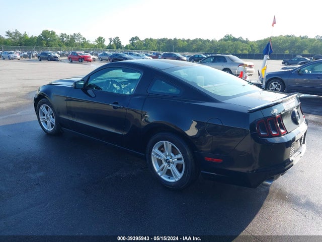 Ford Mustang V6 2014 1ZVBP8AM5E5228183 Image 3