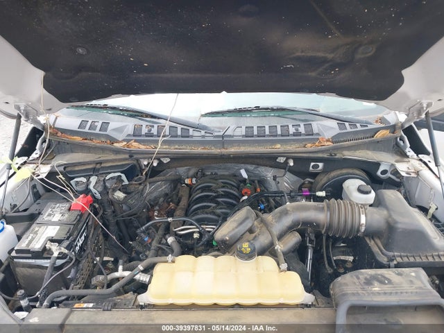 Ford F-150 Xlt 2019 1FTEW1C52KFB47549 Image 10