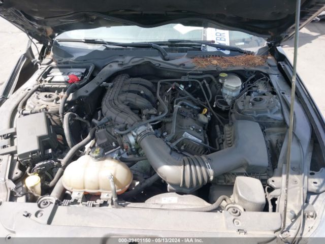 1FA6P8AMXG5284293 Ford Mustang V6
