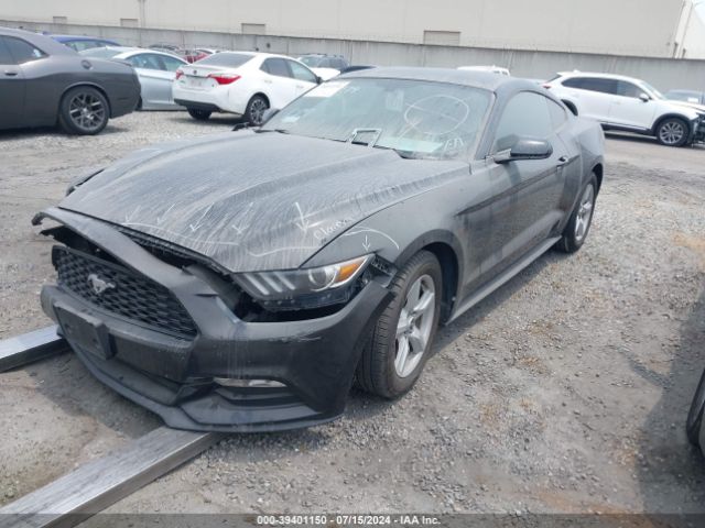 1FA6P8AMXG5284293 Ford Mustang V6