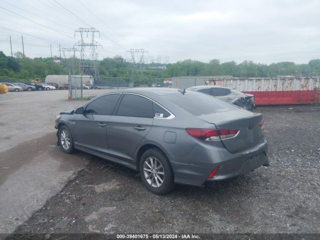 5NPE24AF7JH698864 Hyundai SONATA SE