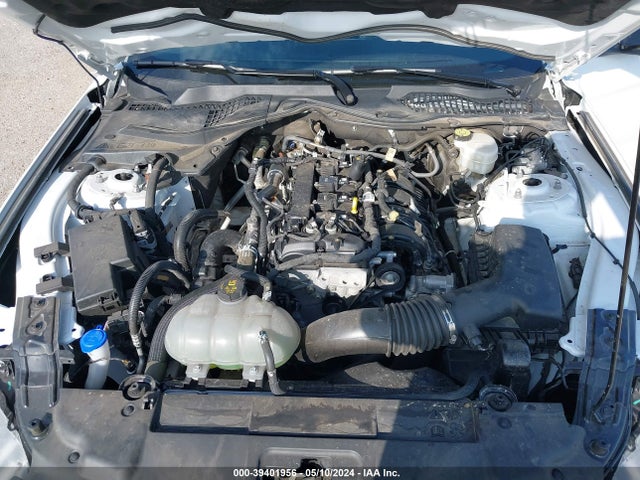 Ford Mustang Ecoboost Fastback 2022 1FA6P8TH9N5148234 Image 10