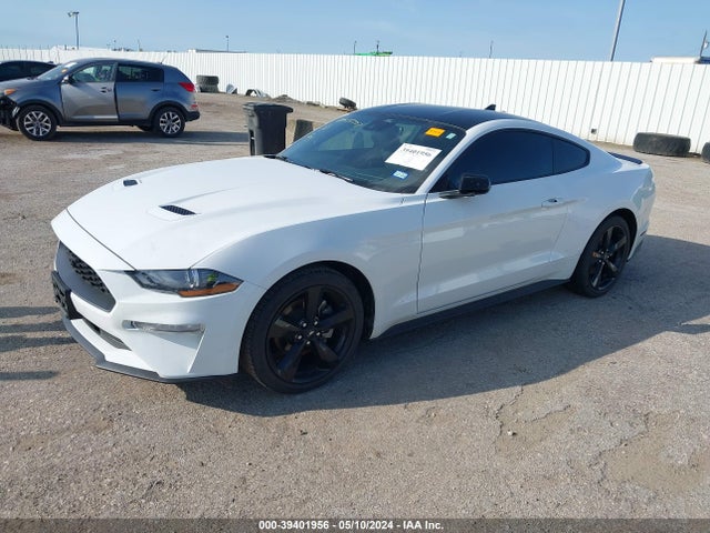 Ford Mustang Ecoboost Fastback 2022 1FA6P8TH9N5148234 Image 2