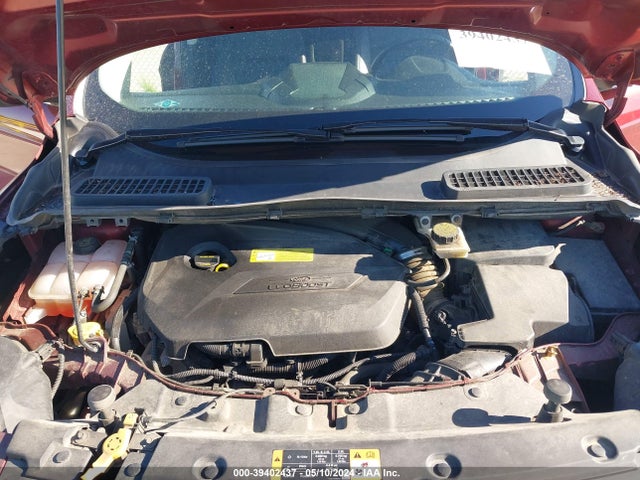 Ford ESCAPE SE 2014 1FMCU0GX9EUB42699 Image 10