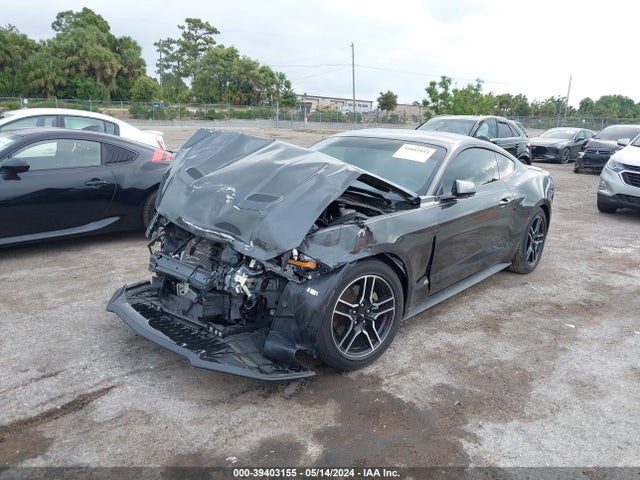 Ford Mustang Ecoboost Fastback 2020 1FA6P8TH2L5191486 Image 2