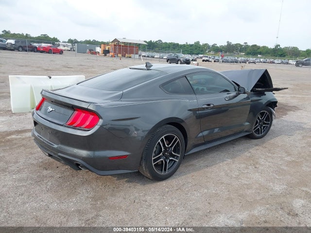 Ford Mustang Ecoboost Fastback 2020 1FA6P8TH2L5191486 Image 4