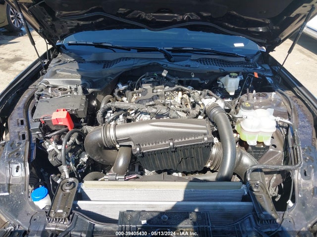 Ford Mustang Ecoboost Fastback 2024 1FA6P8THXR5122991 Image 10