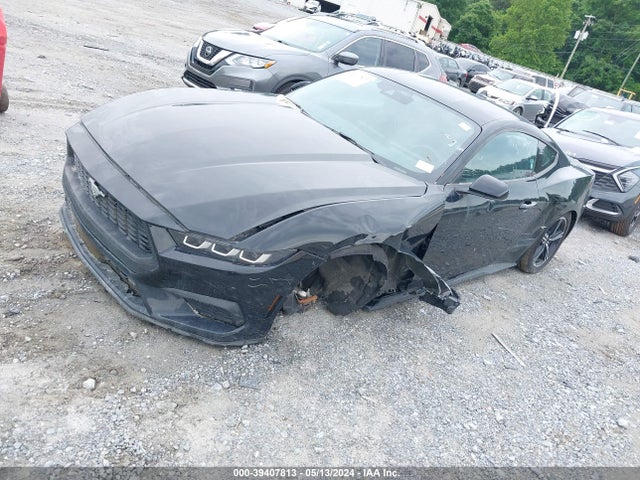 1FA6P8TH4R5107256 Ford Mustang Ecoboost Fastback