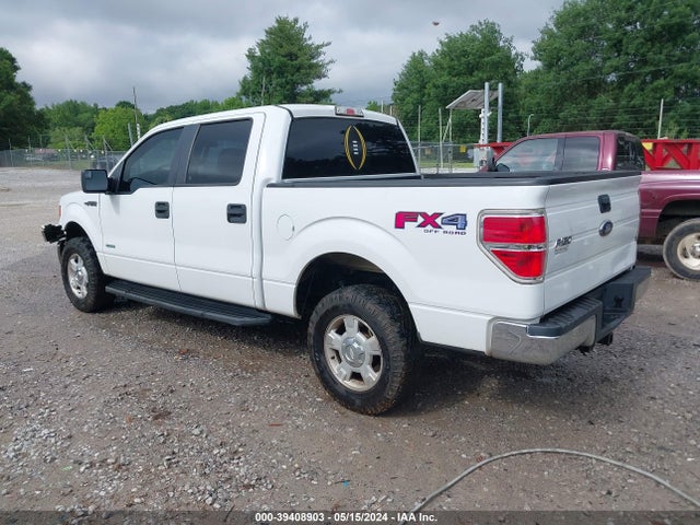 Ford F-150 Xl 2014 1FTFW1ET6EFB33397 Image 3