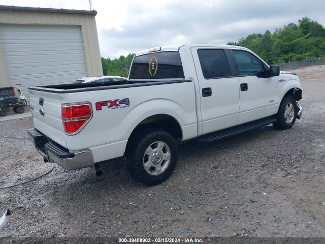 Ford F-150 Xl 2014 1FTFW1ET6EFB33397 Image 4