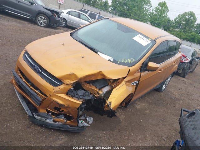 Ford ESCAPE SE 2016 1FMCU0G93GUC84163 Image 2