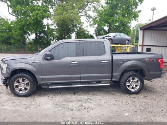 1FTEW1EF4FKE10207 Ford F-150 Xlt