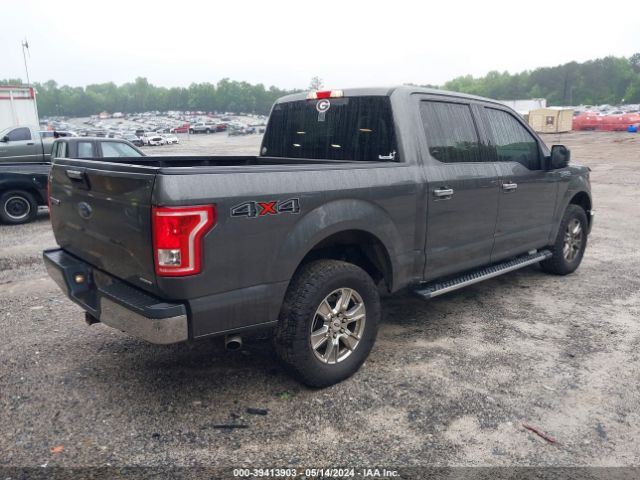1FTEW1EF4FKE10207 Ford F-150 Xlt