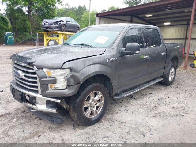 1FTEW1EF4FKE10207 Ford F-150 Xlt