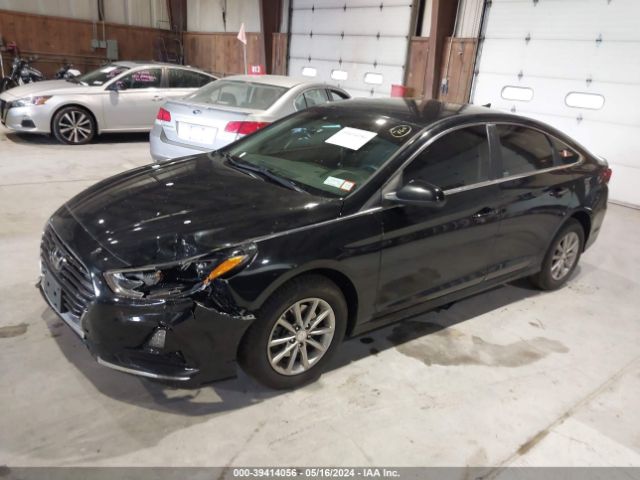 5NPE24AF7KH743738 Hyundai SONATA SE