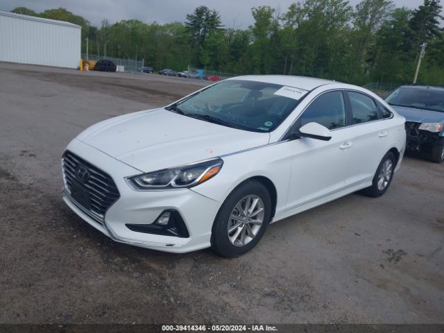 5NPE24AF3KH777949 Hyundai SONATA SE
