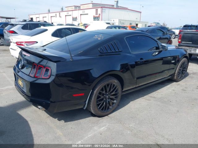 1ZVBP8CF3E5203572 Ford Mustang Gt Premium