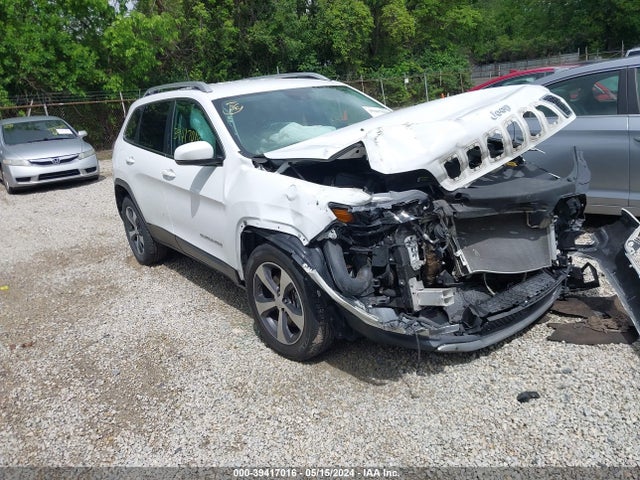 2019 1C4PJMDX4KD191217 main image